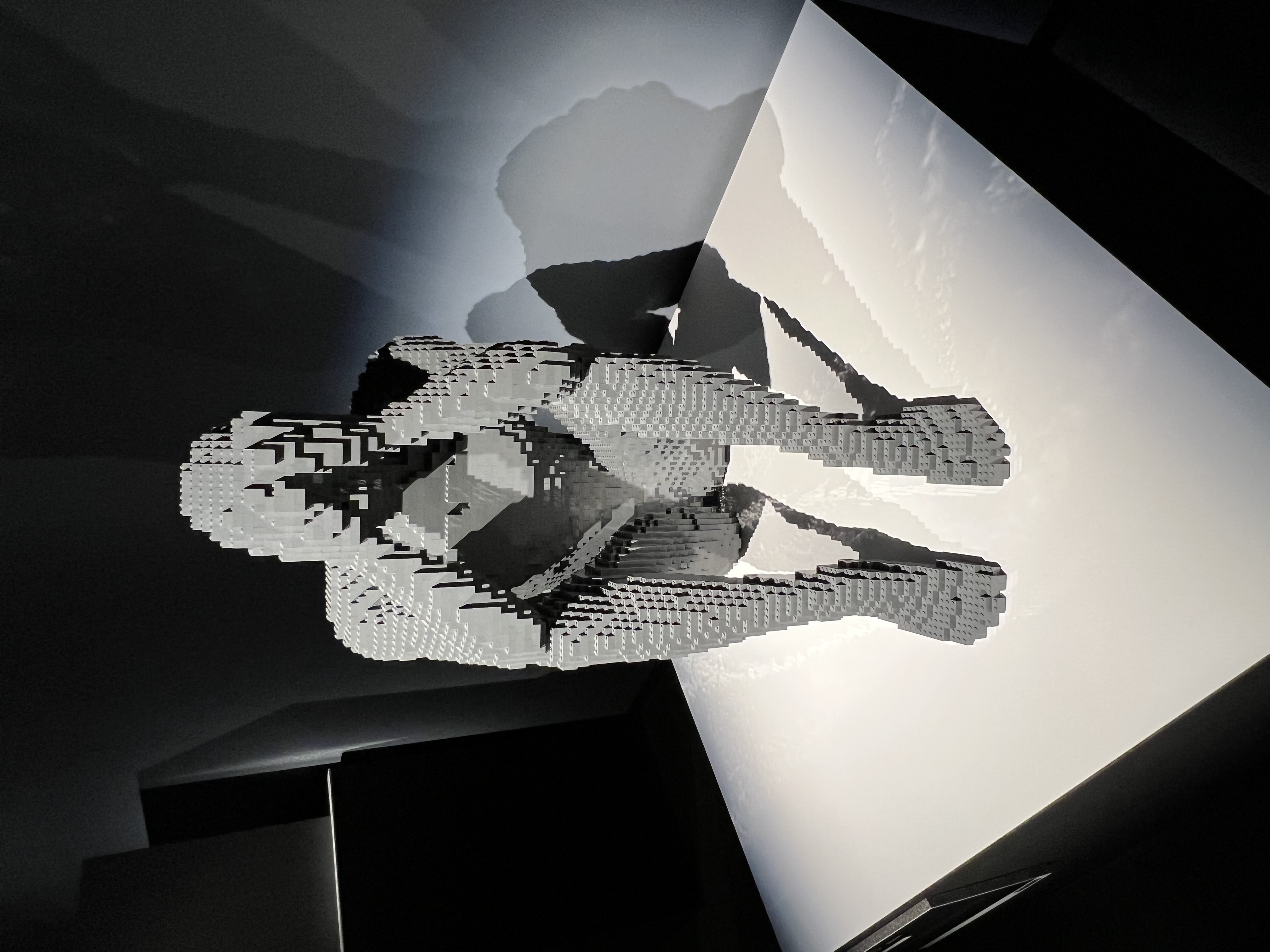 ./2023/07 - Art of the Brick/IMG_9532.JPG